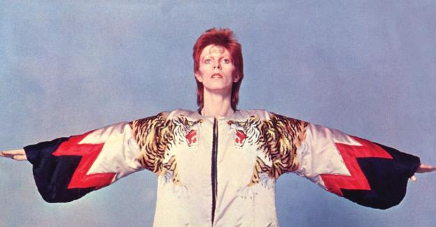Vinyl Collector David Bowie